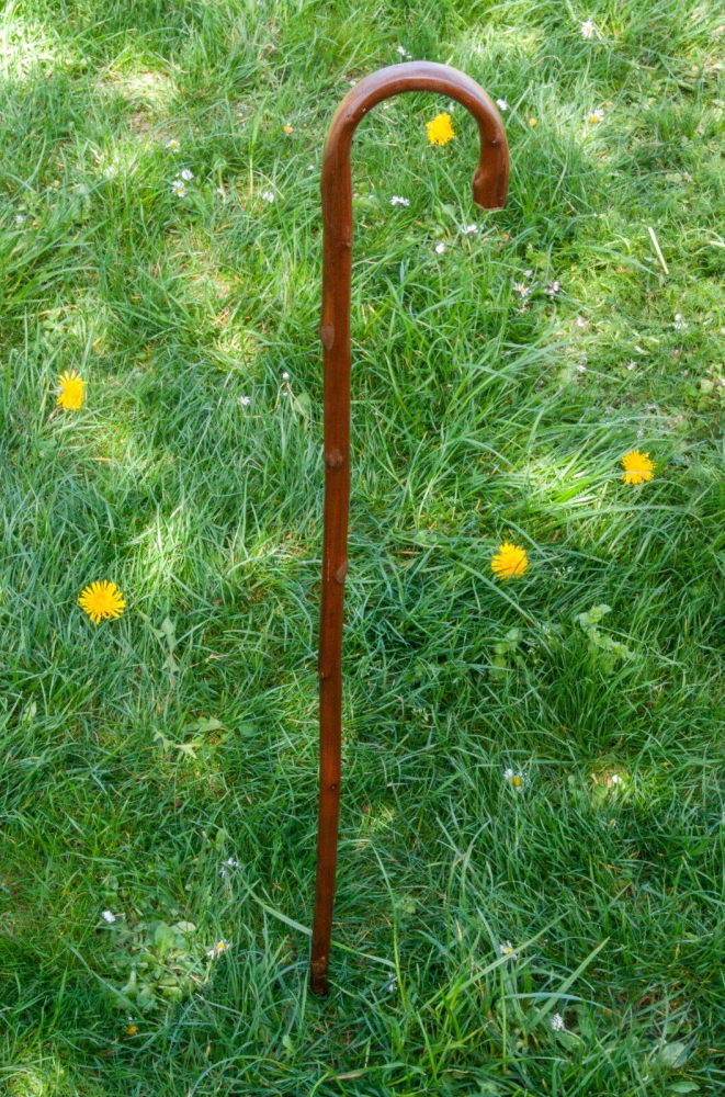 Bild 1 von Wanderstock / Gehstock für Kinder und Erwachsene  / (Länge) 85 - 90 cm