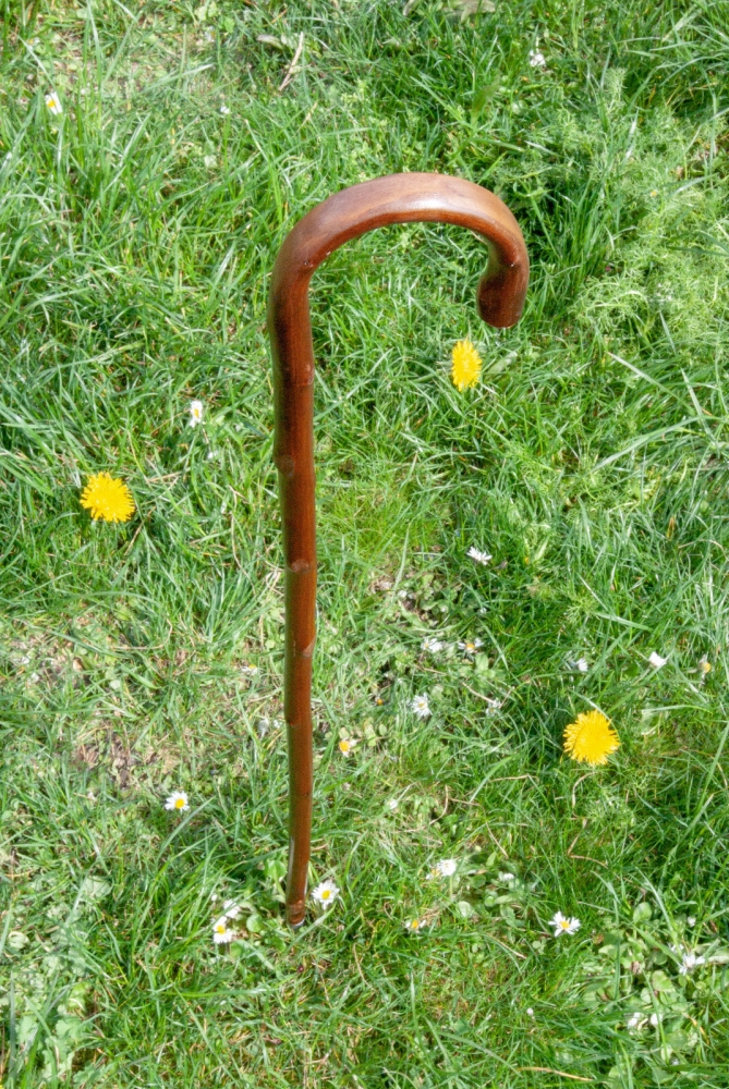 Bild 1 von Wanderstock / Gehstock für Kinder und Erwachsene  / (Länge) 80 - 85 cm