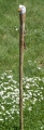 Bild 4 von Adler Wanderstock für Erwachsene / Geschnitzte Unikate mit Stockspitze